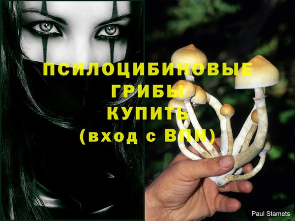 винт Бородино