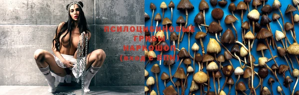 винт Бородино