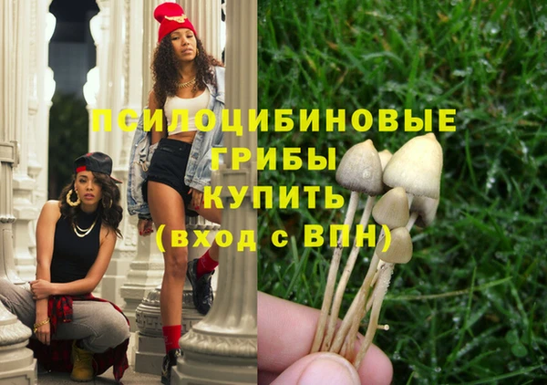 винт Бородино