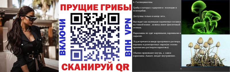 мега ССЫЛКА  Кирс  Псилоцибиновые грибы Psilocybe 