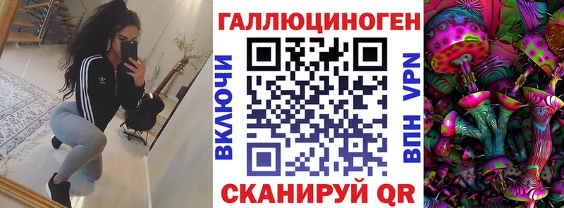 Псилоцибиновые грибы Psilocybe Кирс