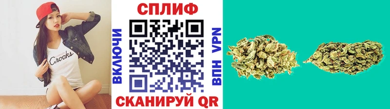 магазин продажи наркотиков  Кирс  Шишки марихуана ГИДРОПОН 